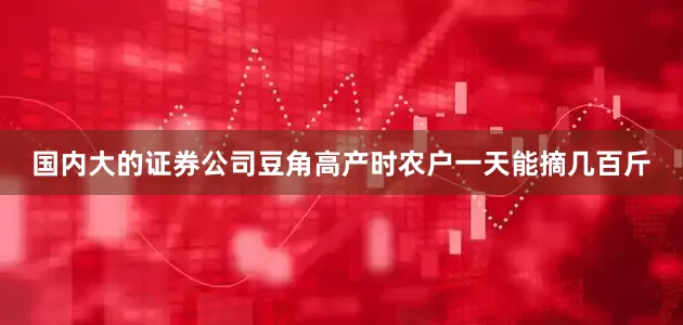 国内大的证券公司豆角高产时农户一天能摘几百斤