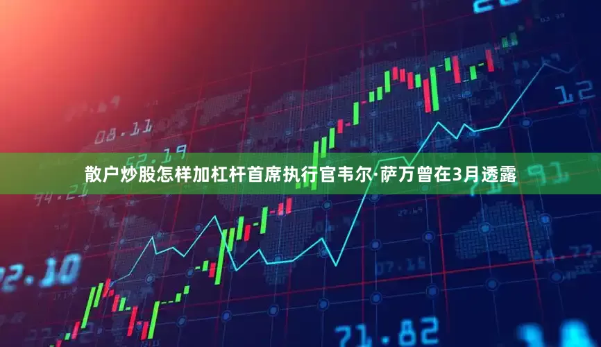 散户炒股怎样加杠杆首席执行官韦尔·萨万曾在3月透露