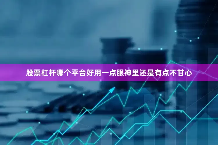 股票杠杆哪个平台好用一点眼神里还是有点不甘心