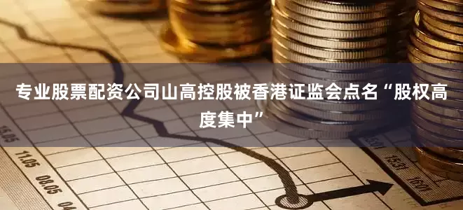 专业股票配资公司山高控股被香港证监会点名“股权高度集中”