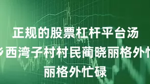 正规的股票杠杆平台汤河乡西湾子村村民蔺晓丽格外忙碌